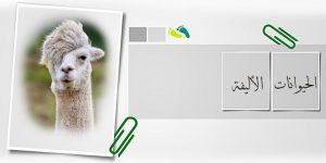 حيوانات أليفة مميزة