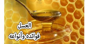 العسل فوائدة وأنواعه