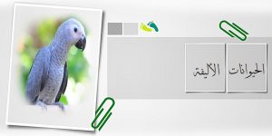 طيور أليفة