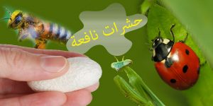 حشرات نافعة