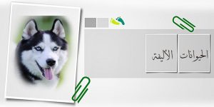 كلاب أليفة