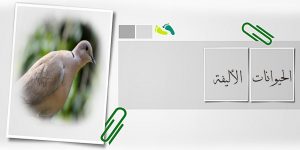 طيور أليفة