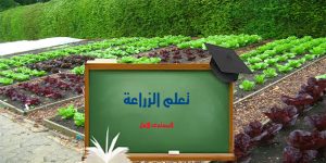 تعلم الزراعة