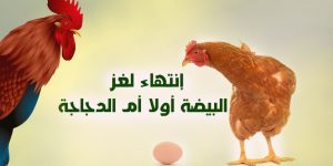 إنتهاء لغز البيضة أولاً أم الدجاجة