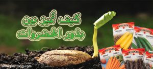 كيف تميز بين بذور الخضروات