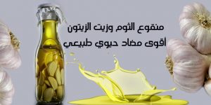 منقوع الثوم و زيت الزيتون اقوى مضاد حيوي طبيعي