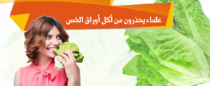 علماء يحذرون من أكل أوراق الخس
