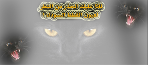 لماذا عليك الحذر من النظر لعيون القطط السوداء ؟