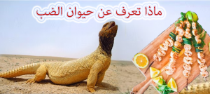 ماذا تعرف عن حيوان الضب