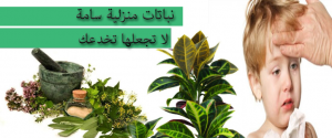 نباتات منزلية سامة لا تجعلها تخدعك