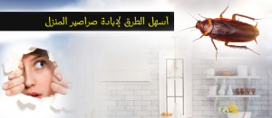 أسهل الطرق لإبادة صراصير المنزل
