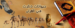 حيوانات ذكرت في القرآن