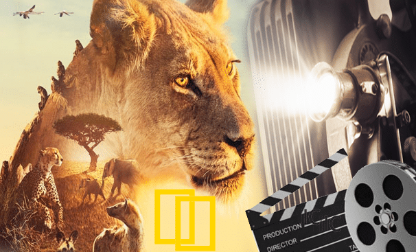أفضل مواقع لمشاهدة الأفلام الوثائقية