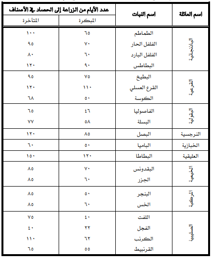 الزراعة في السعودية