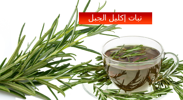 إكليل الجبل لتقوية عضلة القلب