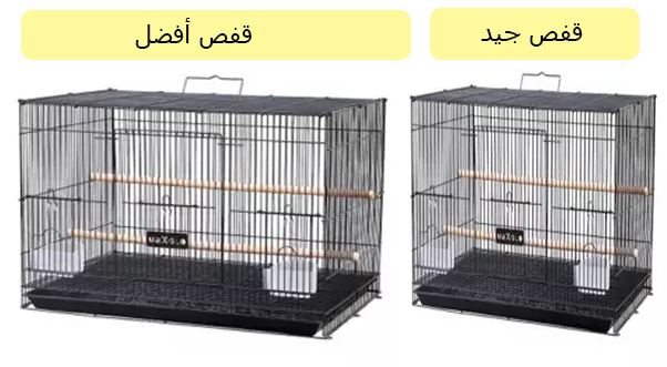 أقفاص تربية عصافير الزيبرا