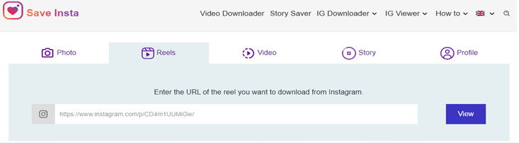 Instagram Reels Downloader online
