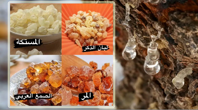 المُرة ولبان الدكر والصمغ العربي والمستكة